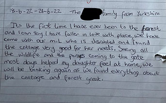 Graylands Cottage in the New Forest