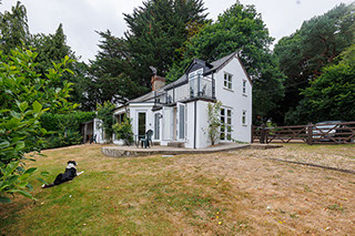Graylands Cottage in the New Forest