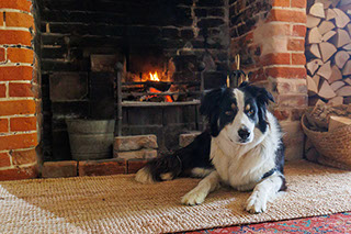 Graylands Cottage in the New Forest