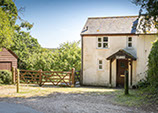 Graylands Cottage in the New Forest