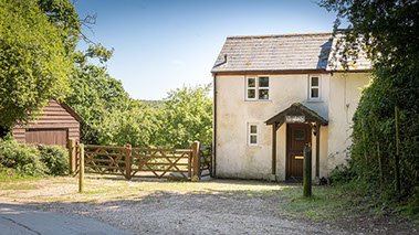 Graylands Cottage in the New Forest