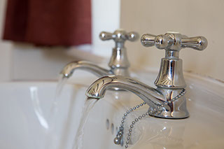 Graylands Cottage in the New Forest