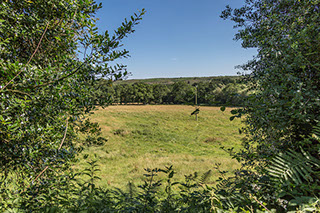 Graylands Cottage in the New Forest