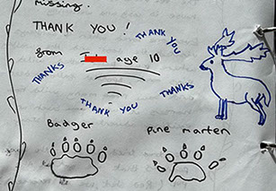 Graylands Cottage in the New Forest